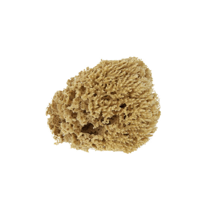 Esponja Natural